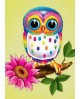 Owl Maia WD248