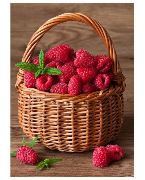 Raspberry Basket WD252