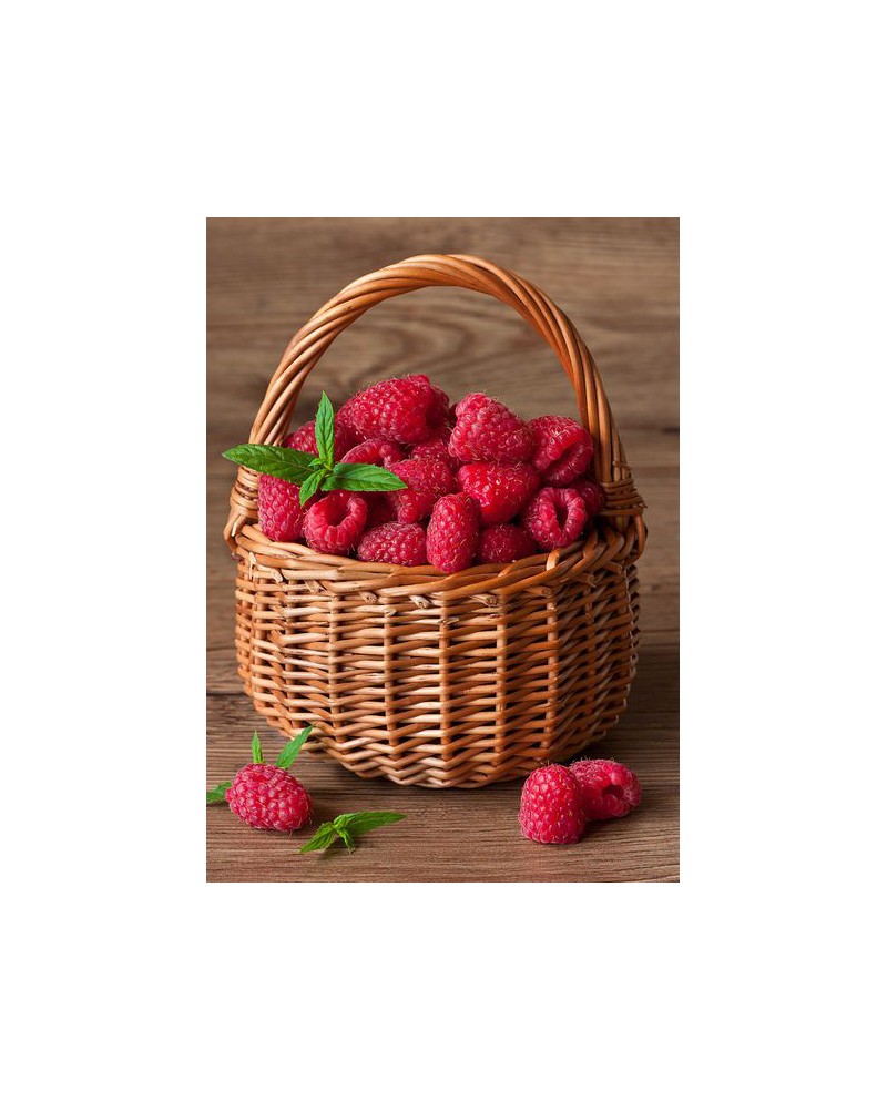 Raspberry Basket WD252