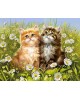 Summer Kittens WD209