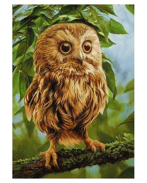 Owl Mickie WD246