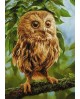 Owl Mikkie WD246