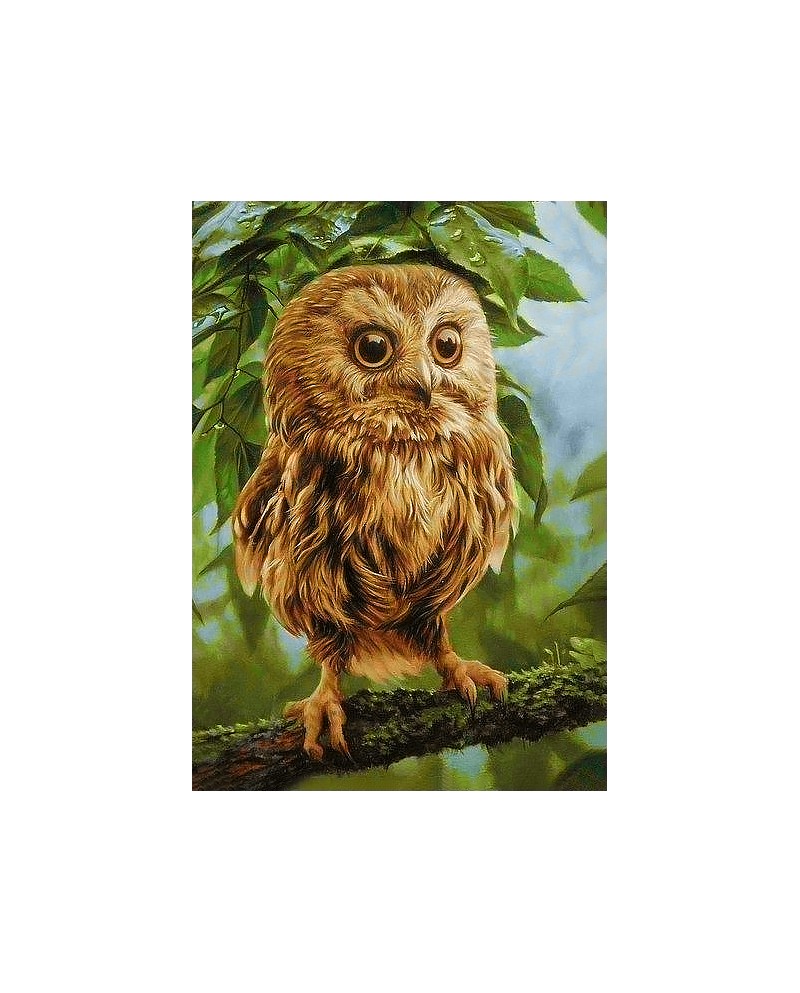 Owl Mikkie WD246