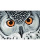 Owl's Look WD243