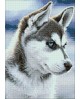 Snow Dog WD088