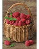 Raspberry Basket WD252