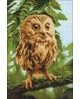 Owl Mikkie WD246