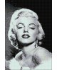 Marilyn Monroe WD135