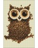 Coffee Owl WD242