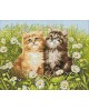 Summer Kittens WD209