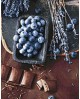 Chocolate and Blueberries WD046