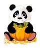 Panda with Pumpkin WD318