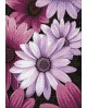 Purple Daisies WD2306