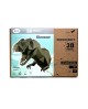 Wizardi 3D Papercraft Kit Dinosaur PP-1DIZ-WAS