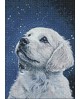 WD2331 Dog and Snowflakes