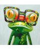 WD2373 Colourful Frog