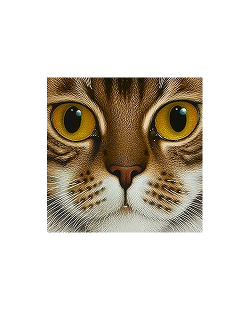 Copper-Eyed Cat WD2377