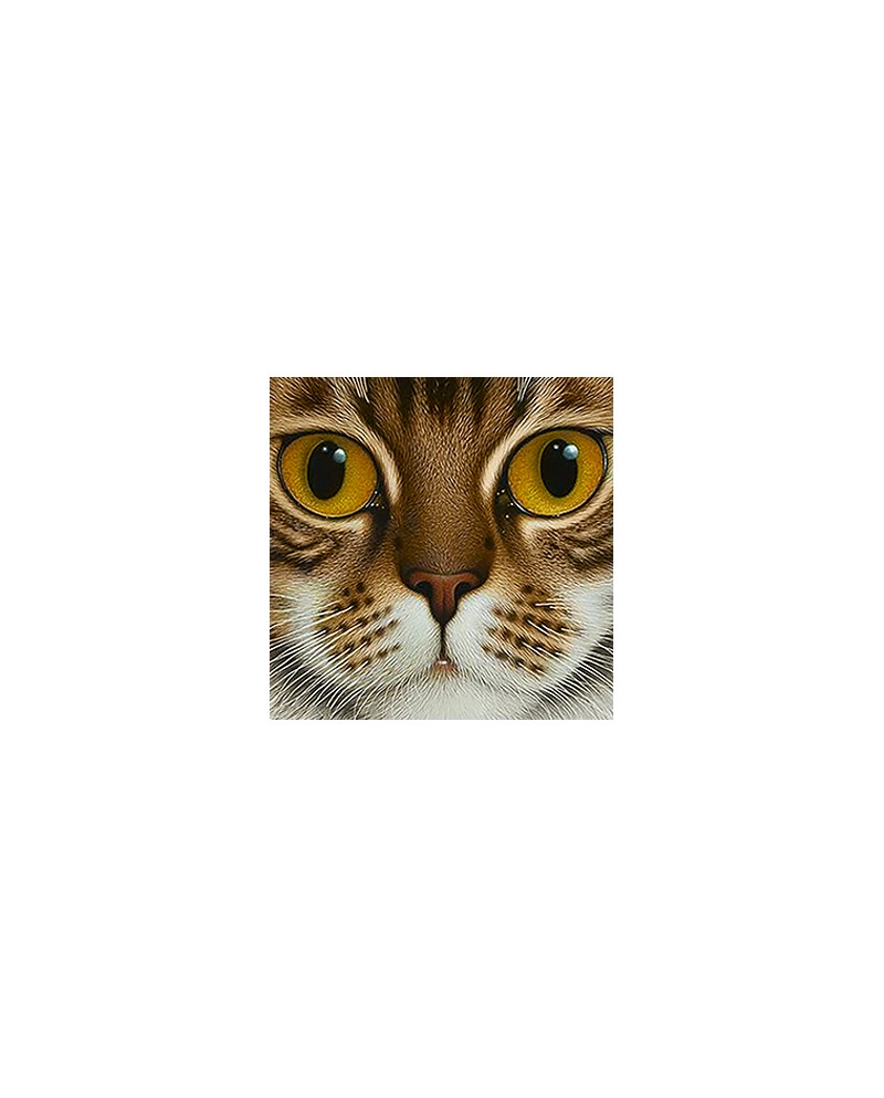 WD2377 Copper-Eyed Cat