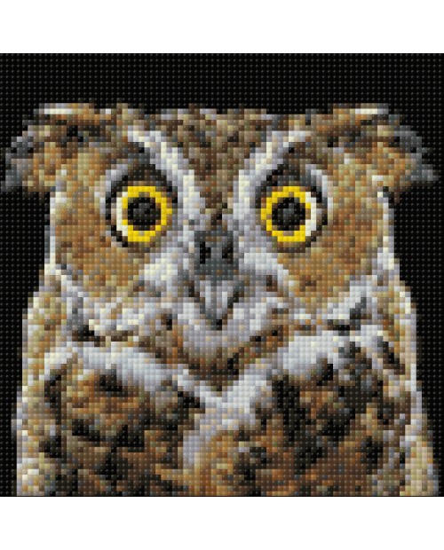 WD2380 Curious Owl