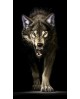 Stalking Wolf WD2410