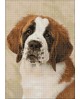 St. Bernard Pup WD2416