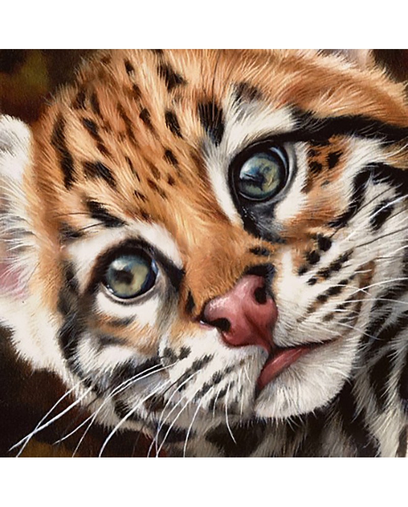 Ocelot Kitten WD2427