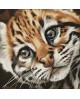 Ocelot Kitten WD2427