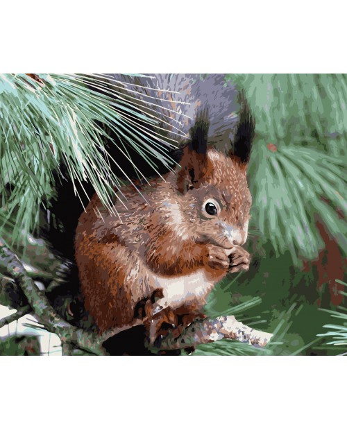 H003 Squirrel on a Branch