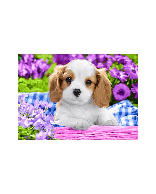 Dog in Purple Flowers WD2451