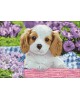 Dog in Purple Flowers WD2451