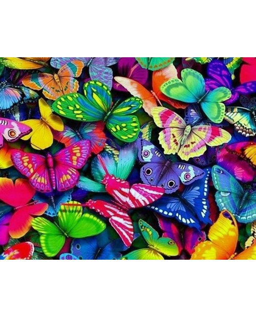 Rainbow Butterflies WD057