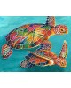 Sea Turtles WD064