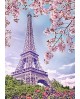 Spring in Paris WD124